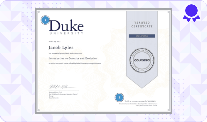 certificate-showcase